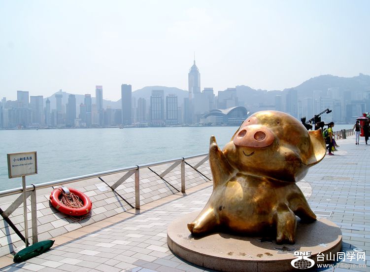 DSC08713_.jpg