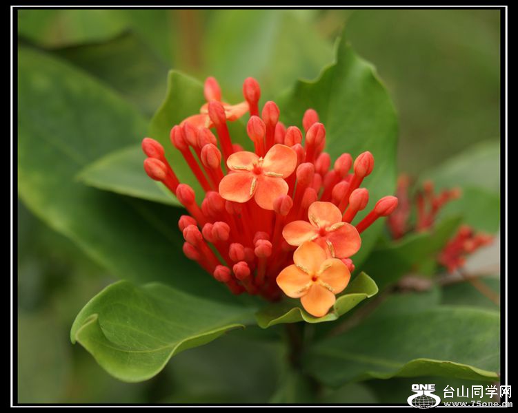 DSC03135_.jpg