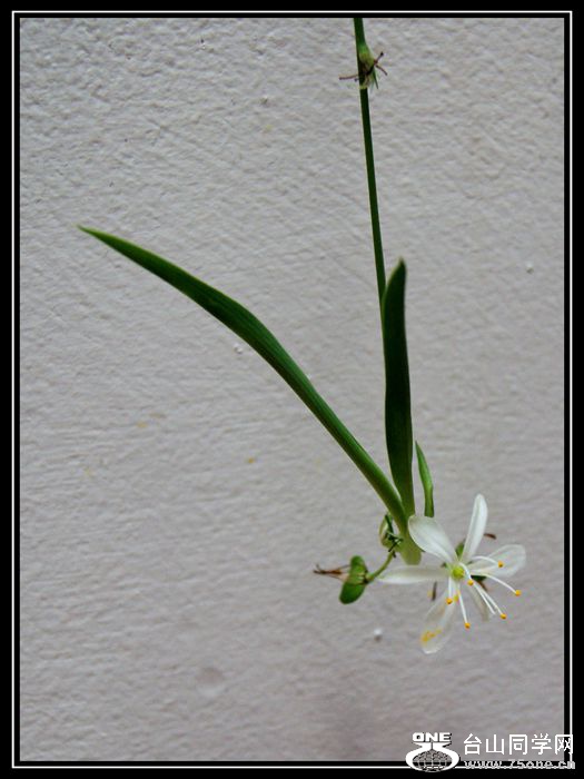 DSC09981_.jpg
