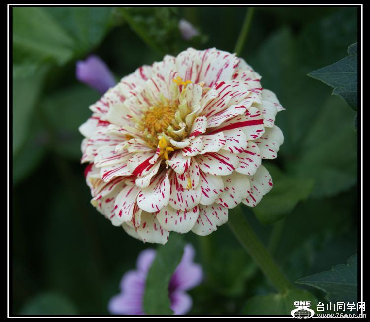 DSC08018_.jpg