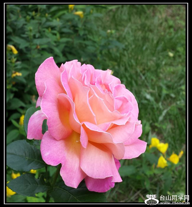 20130709_184331_.jpg