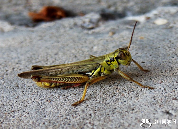 DSC09974_.jpg