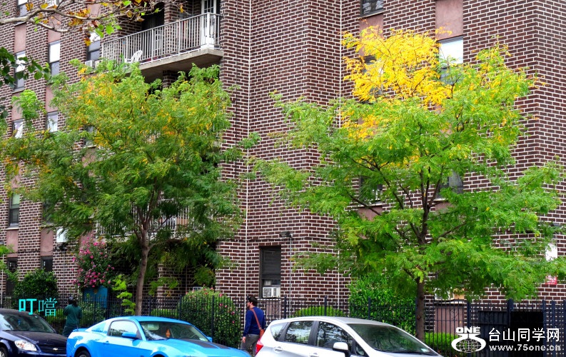 DSC09067a_1.jpg