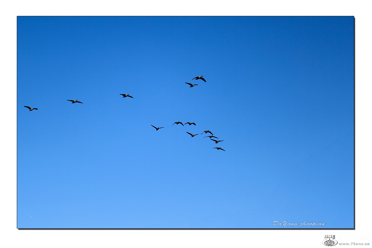 FR0A0133-1.jpg