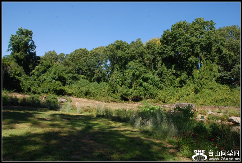 DSC_0203.jpg