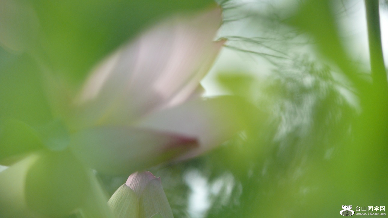 L2440299.JPG