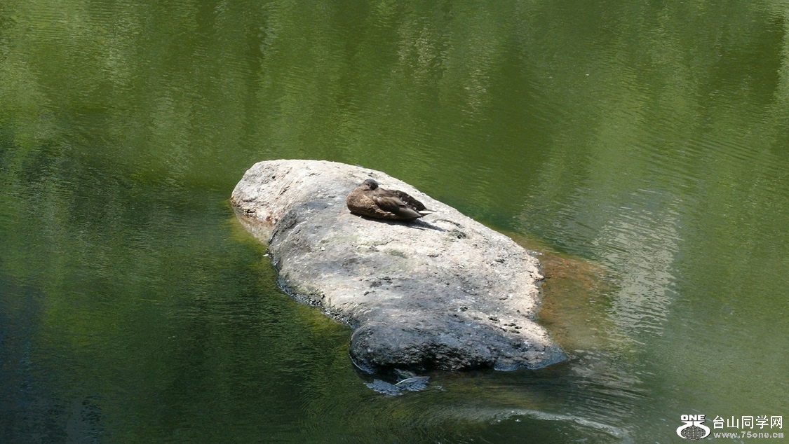 L2440896.JPG