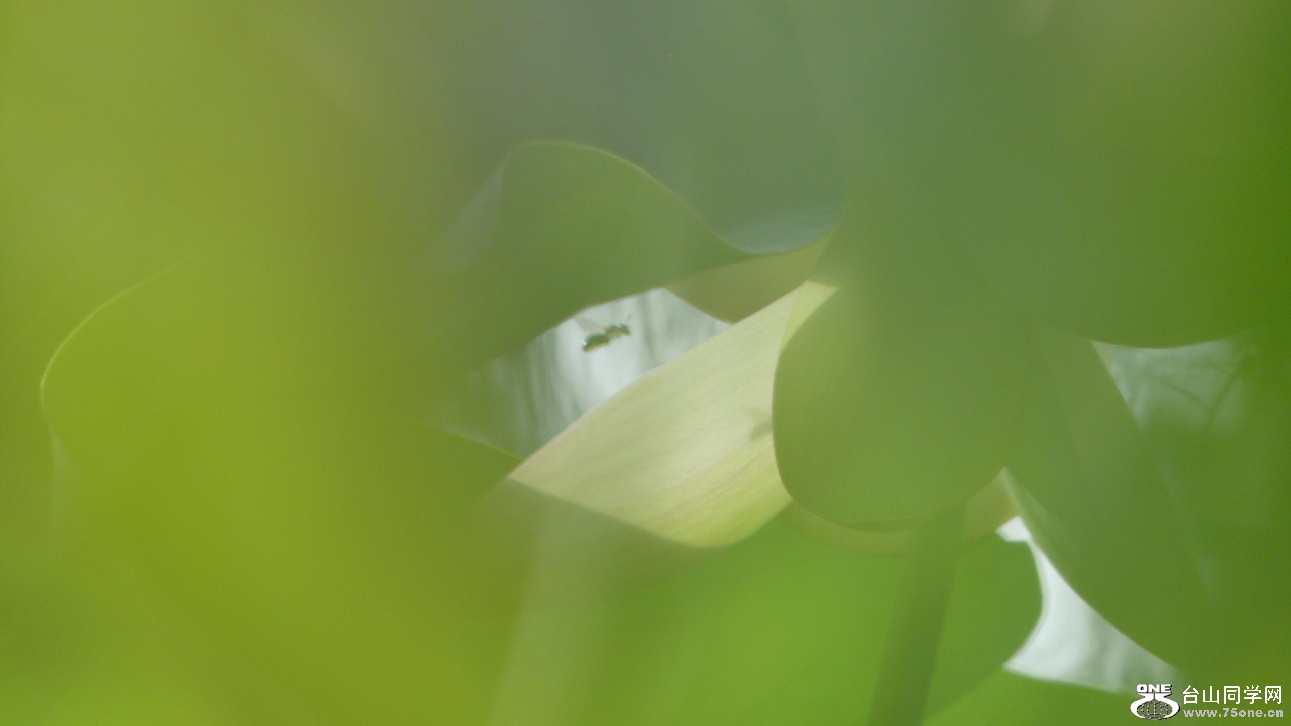 L2440305.JPG