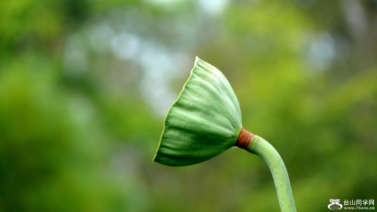 l2440247_conew1.jpg