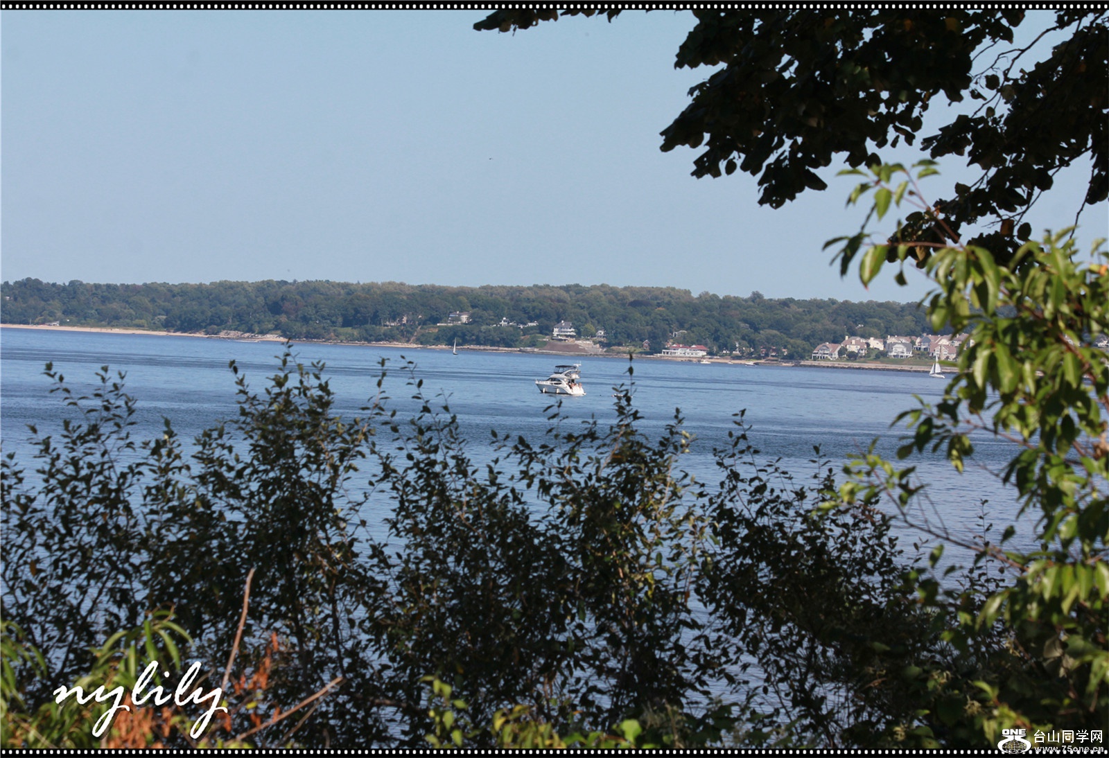 IMG_0874_.jpg