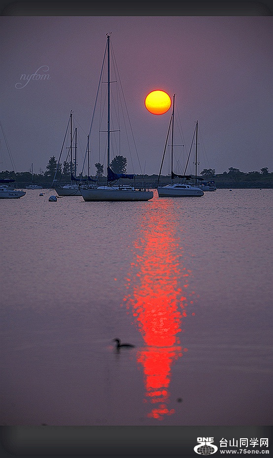 DSC_6391__.jpg