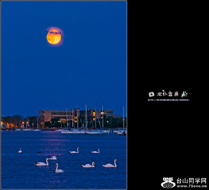 DSC_2810s.jpg
