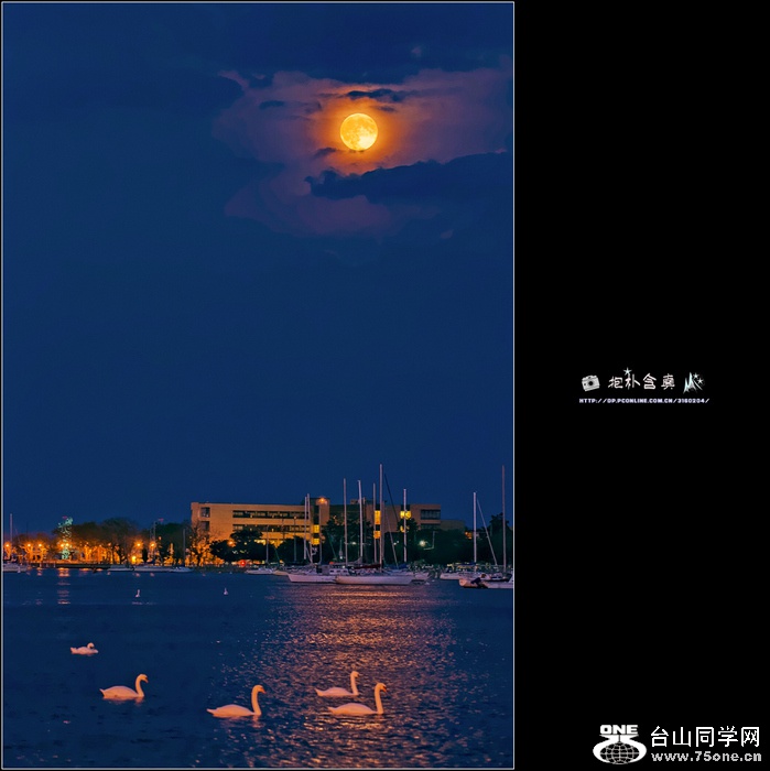 DSC_2933s.jpg