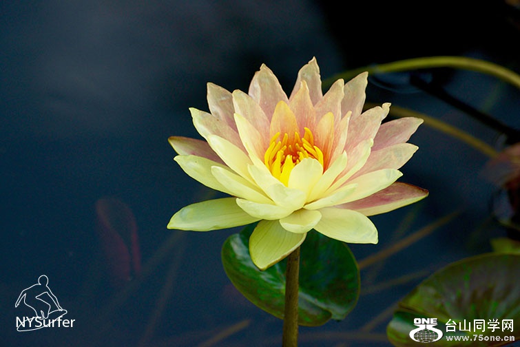 DSC_2357 2.jpg