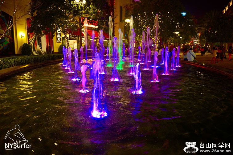 DSC_41768.jpg