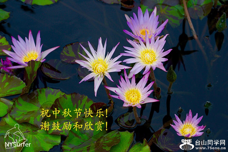 DSC_2379 2 copy.jpg