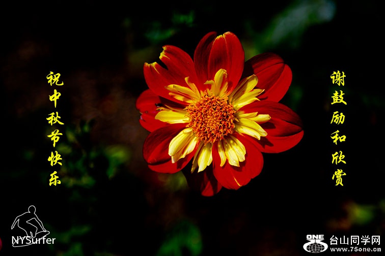 DSC_5105 copy.jpg