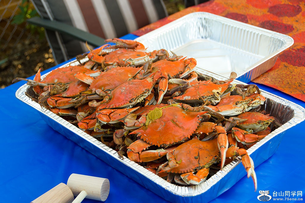 DSC_6296.jpg