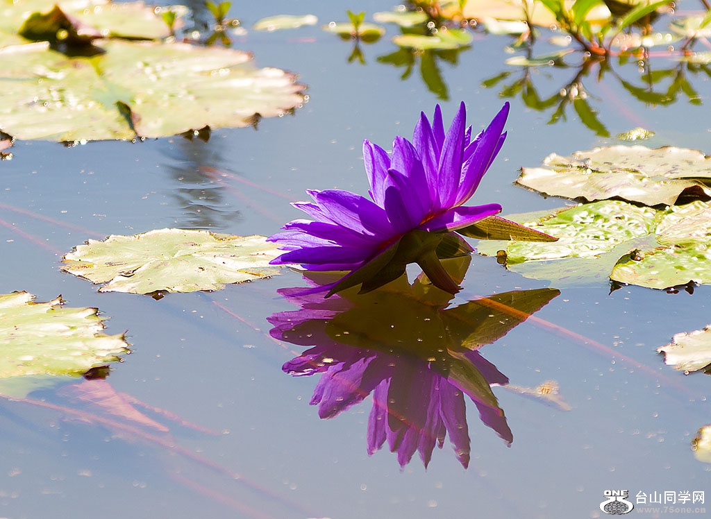 DSC_6534.jpg