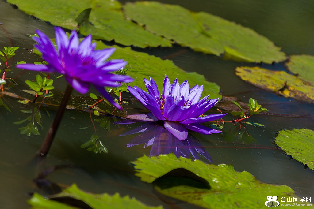 DSC_6486.jpg