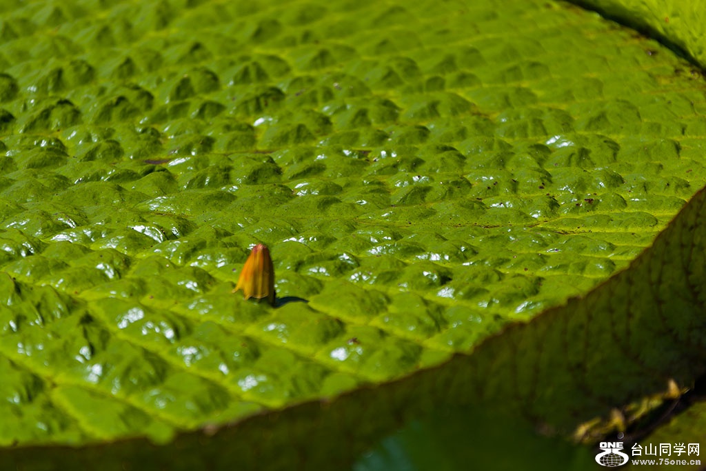 DSC_6504.jpg