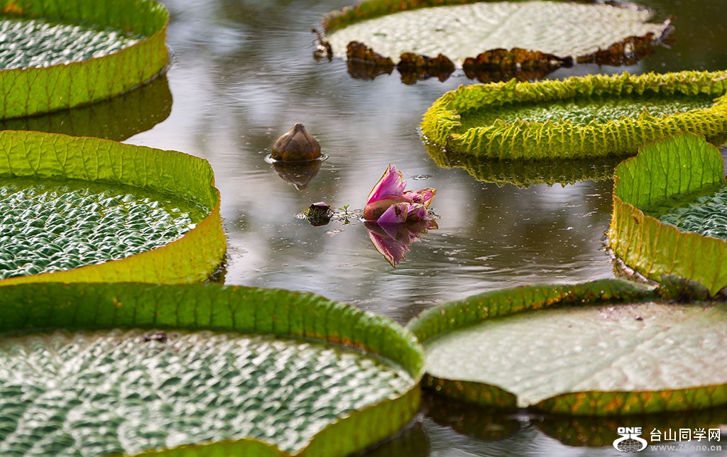 DSC_5004-1.jpg