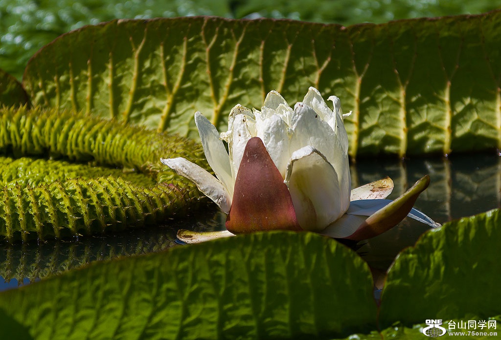 DSC_6490.jpg
