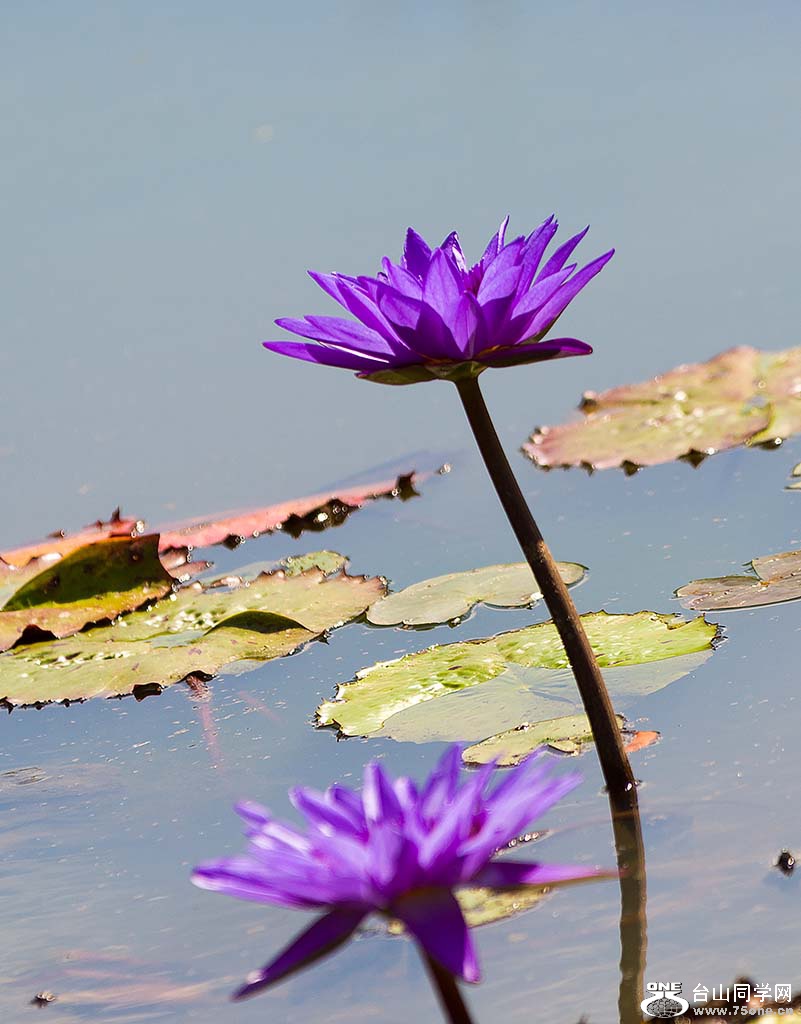 DSC_6535.jpg
