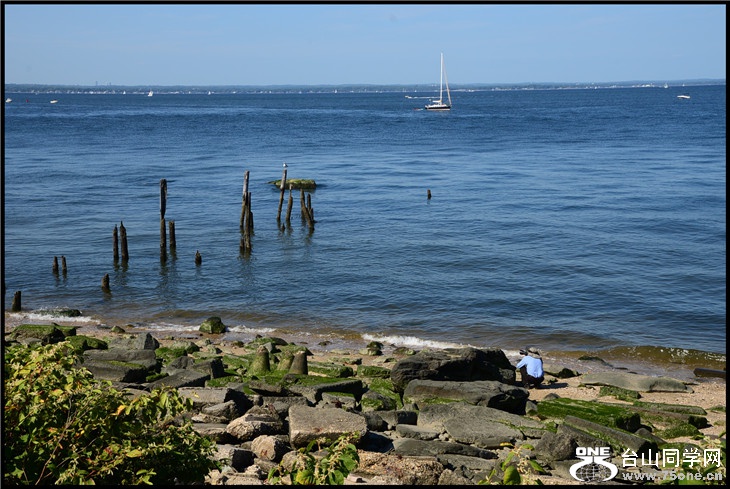 DSC_5893.jpg