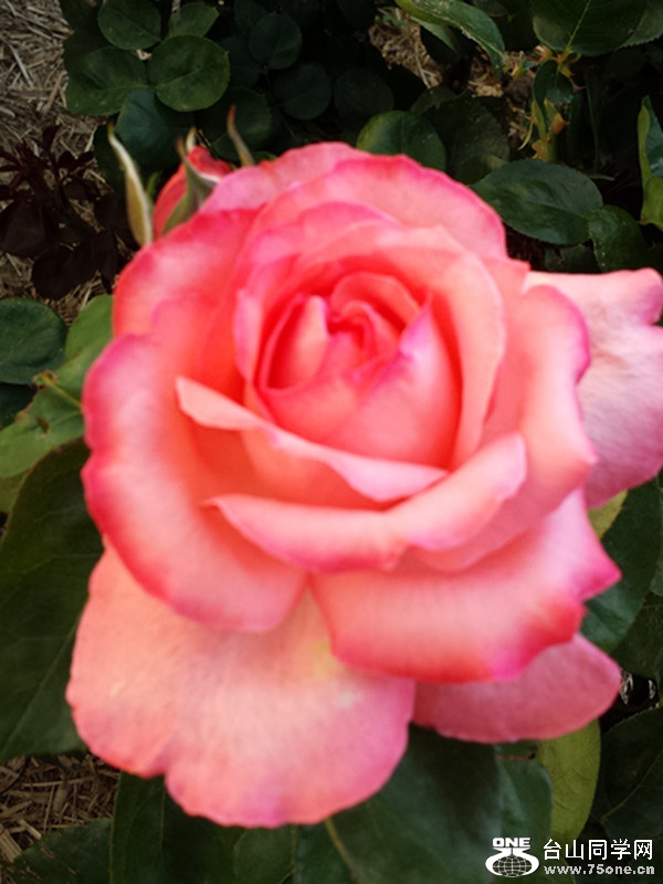 20131010_175331.jpg