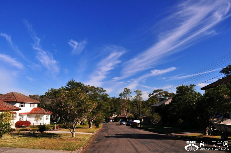 DSC_0596_conew2.jpg