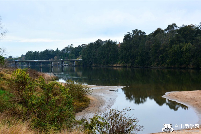 DSC_5297.jpg