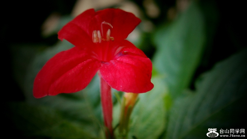 DSC02870_.jpg