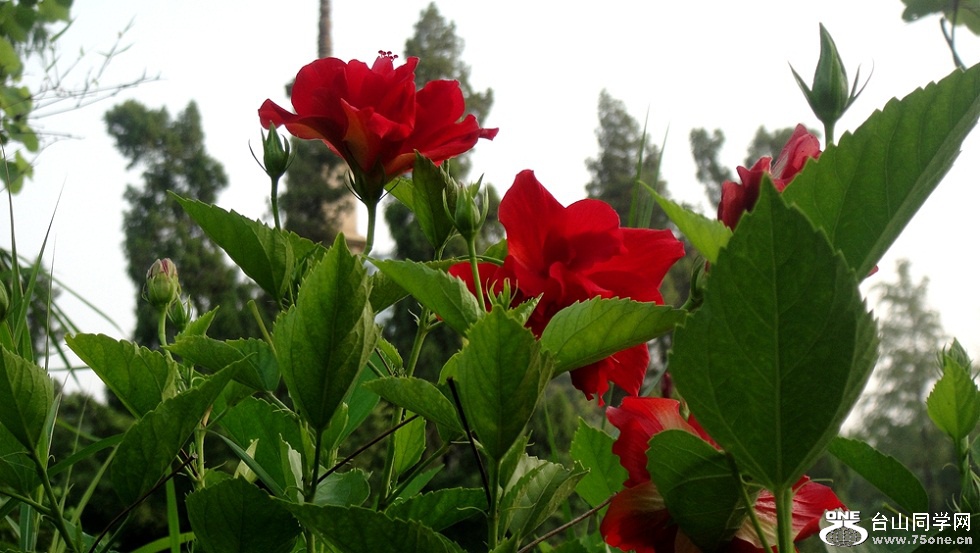 DSC02850_.jpg
