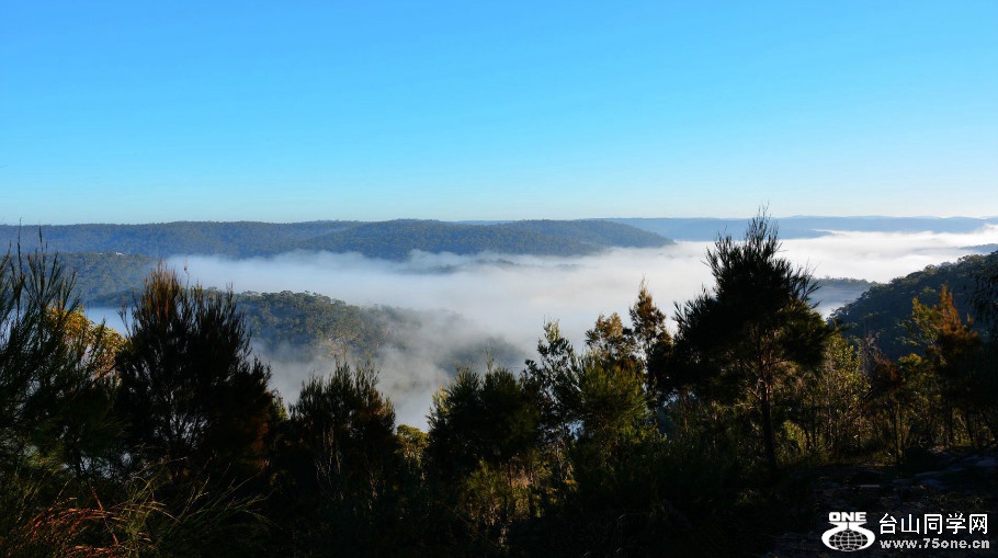 DSC_6444.jpg