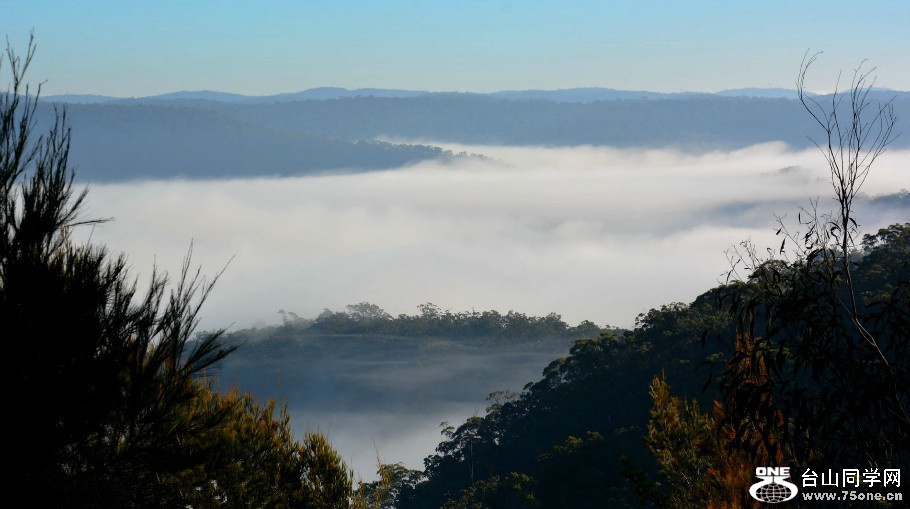 DSC_6446.jpg