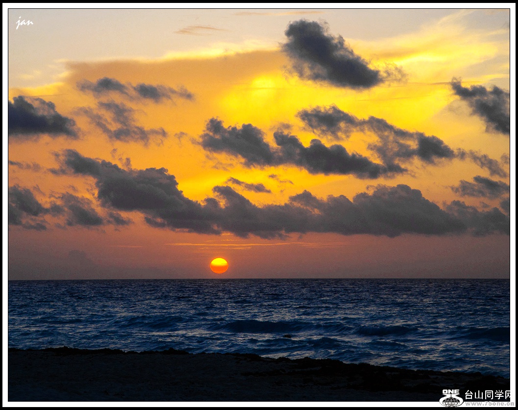 IMG_3772_a.jpg