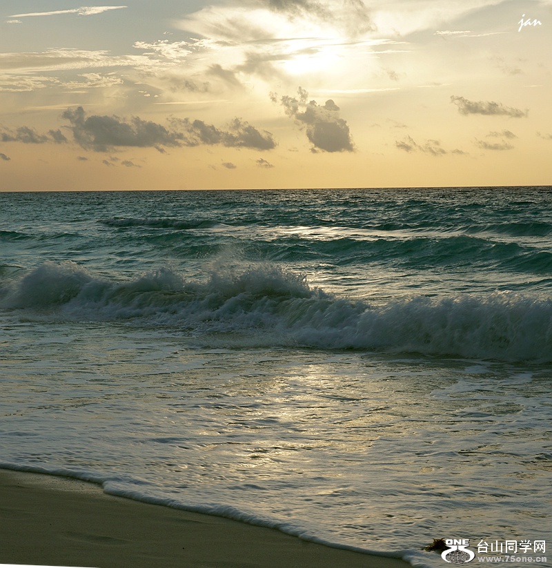 DSC08134.JPG