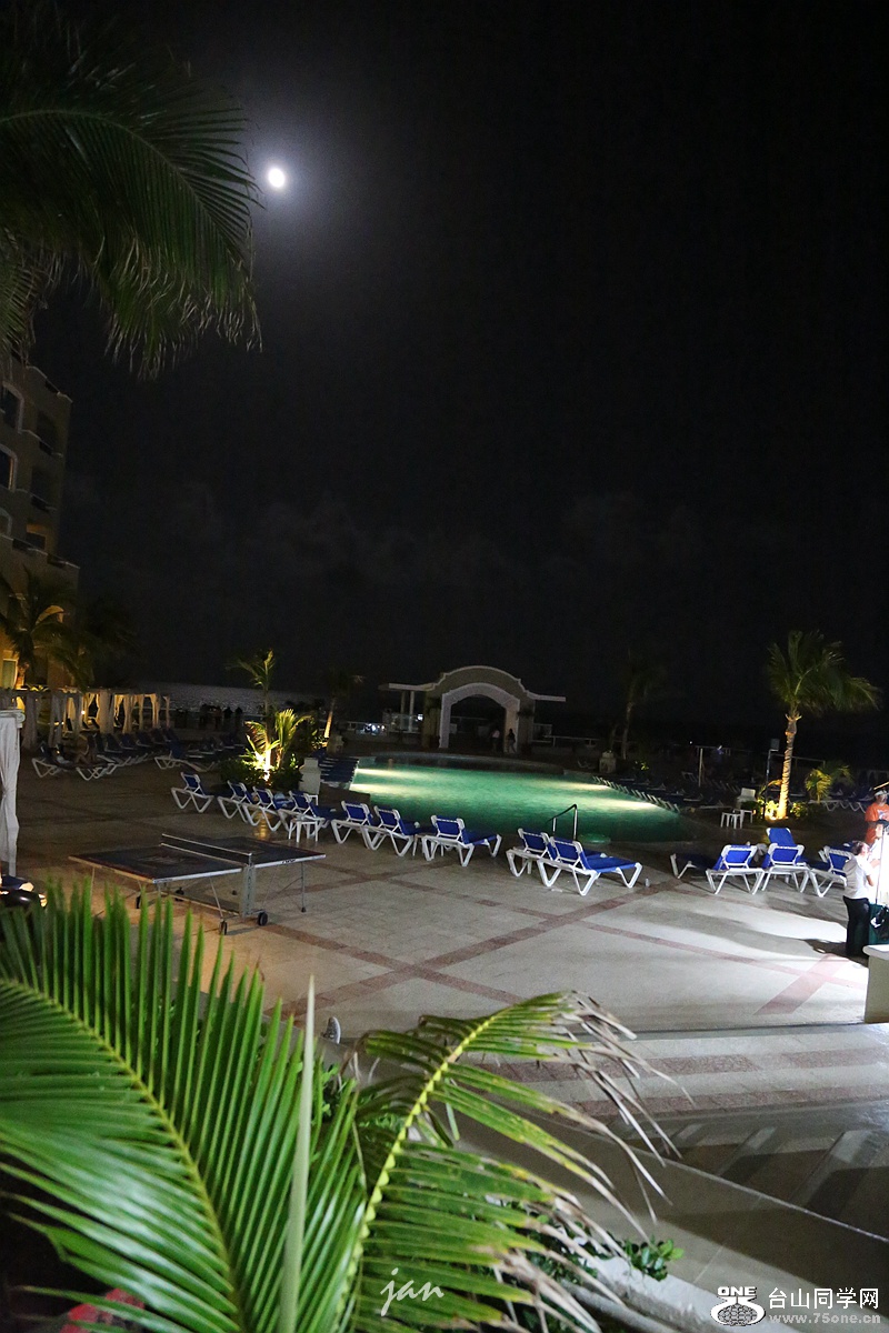 IMG_3543_a.jpg