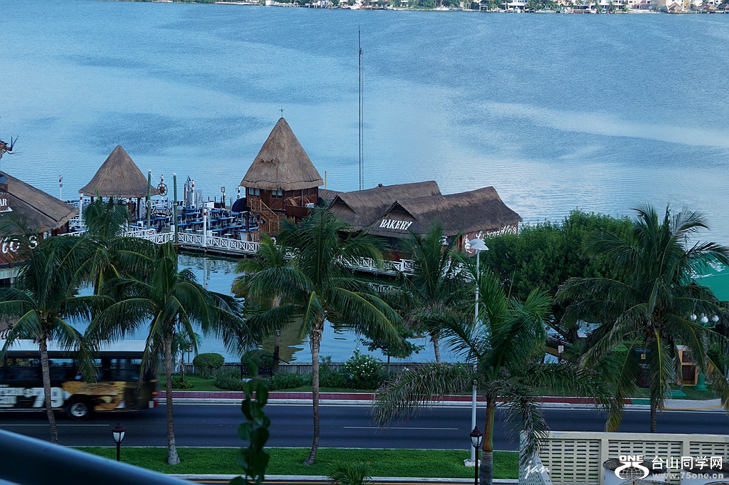 DSC07382_.jpg