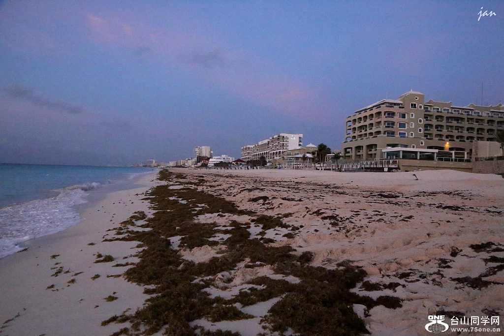 IMG_3588.JPG