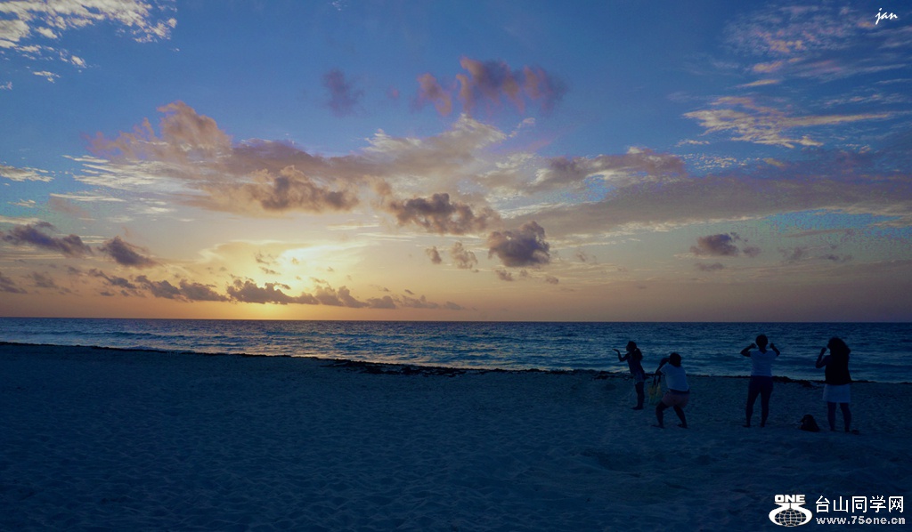 DSC08105_.jpg