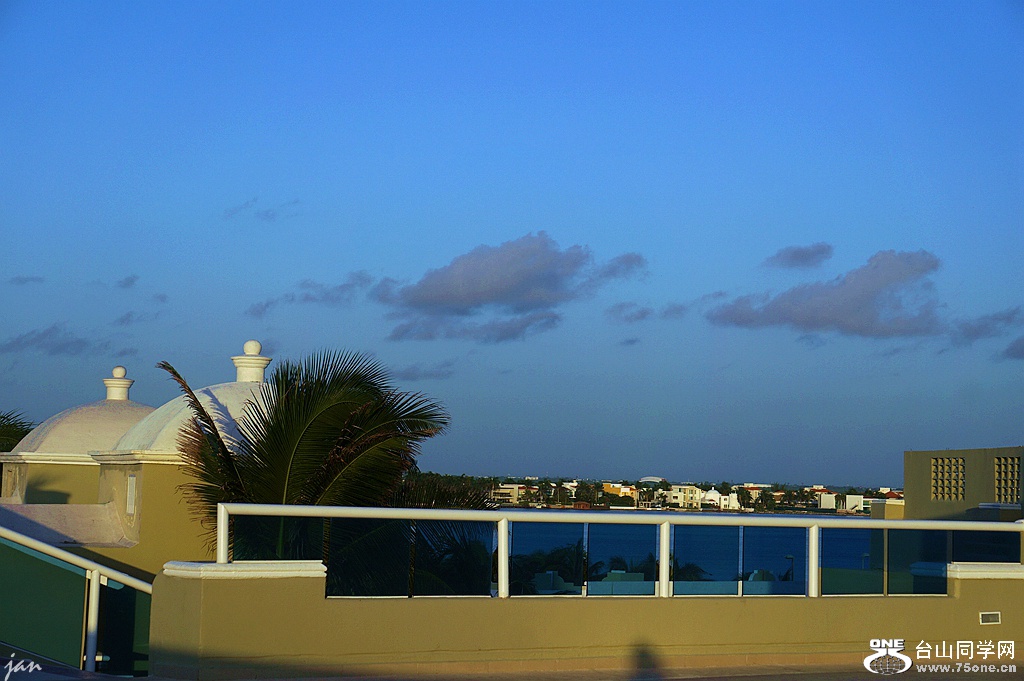 DSC07471.JPG