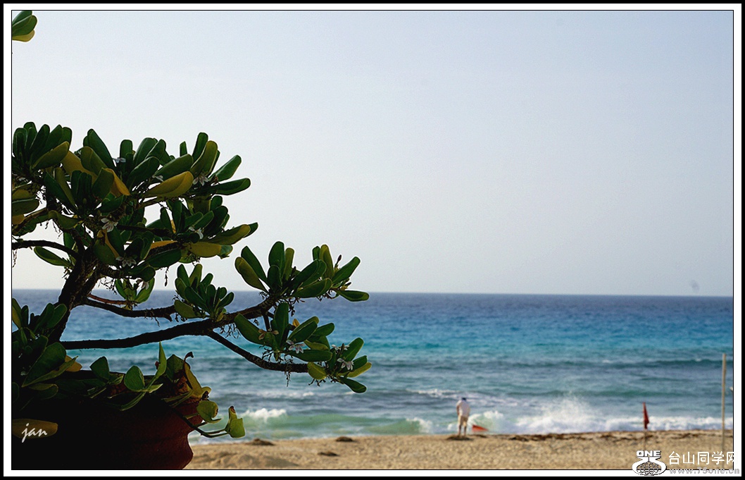 DSC08644_.jpg