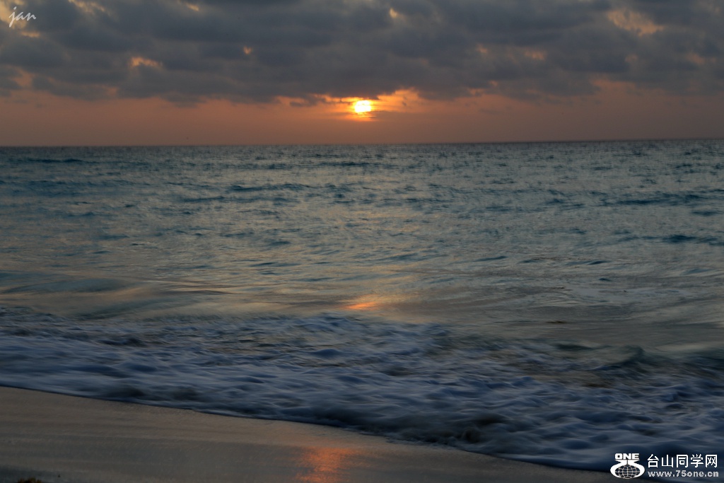 IMG_3635.JPG