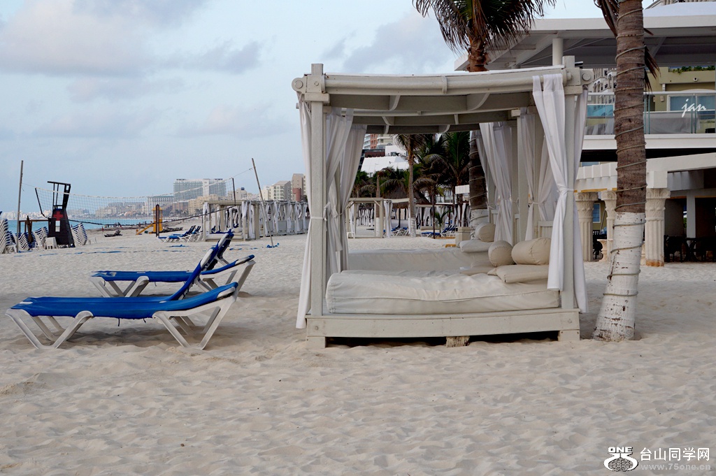 DSC07335_.jpg