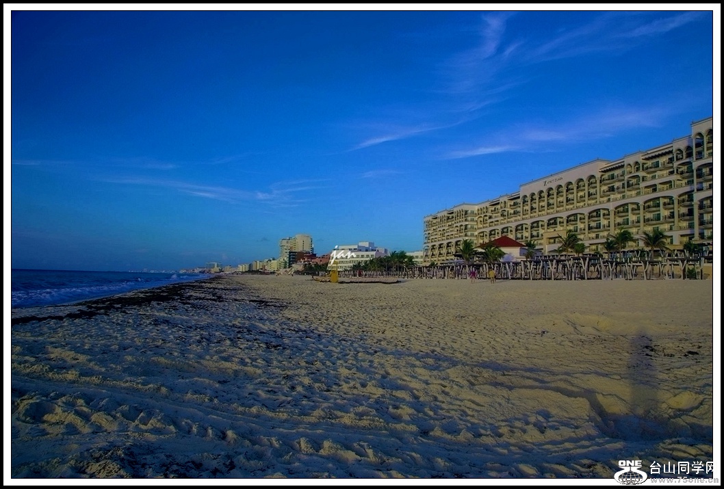 IMG_3933_a.jpg