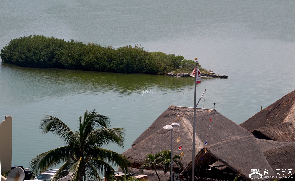 DSC07438_.jpg