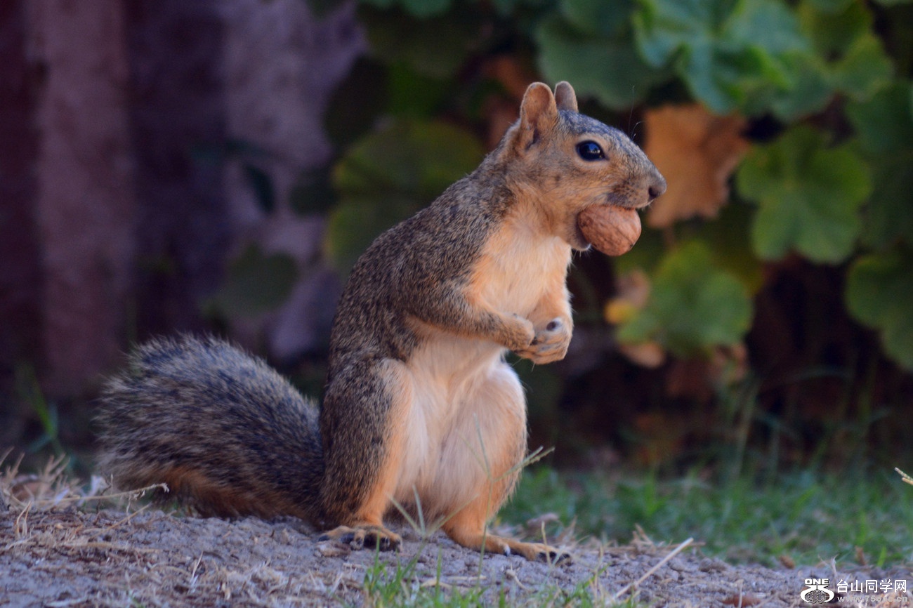 DSC_0189_30.jpg
