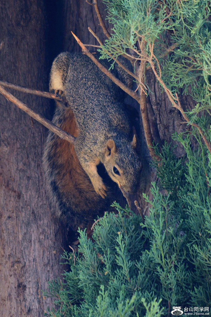 DSC_0026_5.jpg